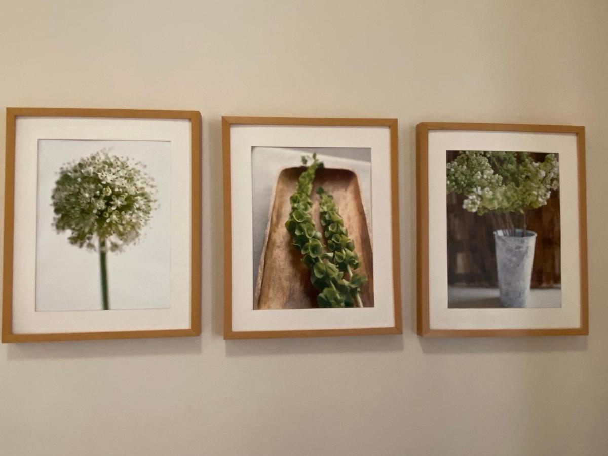 Klimatyczny Apartament Przy Rynku Wrocław Buitenkant foto